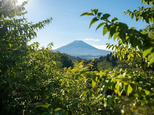 日本の気候は腐食が進みやすい！なぜ厳しい腐食環境になるのか解説